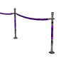 Purple Club Rope Vipline