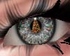 Christmas Tree Eyes