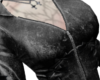 bows
