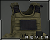R║ Brown Vest