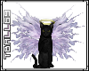 black angel cat sticker