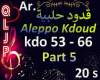 QlJp_Ar_Aleppo Kdoud_P5