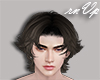 ✦ Montgomery.