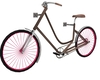 SIN Vintage Bike