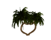 hart palms