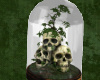 Skull plants