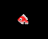 Tiny Red Gold Fish