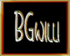 BG Willi VIP Sign