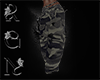 {RGN}Camo Pants V3