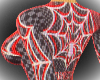 Spider ClanDestiny