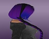 Hatless Purple Cassidy