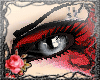 *L* Quirina skin