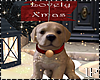 Christmas Lovely Puppy