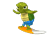 Turtle surfing small