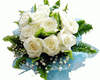 White Rose