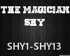 Shy - The Magician