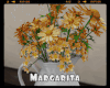 *Margarita