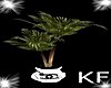 {KF}  Potted Plant