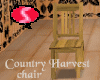 SCH Chair