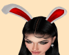 Z} Loita Bunny Ears