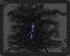 The Void
