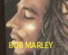 bob marley frame
