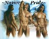 Native Pride tshirt-F