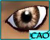 CAO Chestnut Brown Eyes