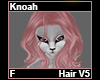 Knoah Hair F V5