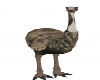 Gig-Emu Animated