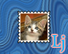 kitten stamp 17
