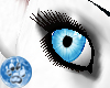 [S]IceBaby Blue Eye {F}