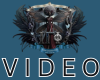 IGP Crest Bra