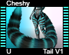 Cheshy Tail V1