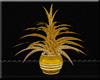 !FC! Gold Spiney Plant