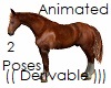 Animated Horse 2 Poses