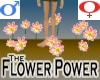 Flower Power +V