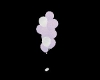 purple white wed balloon