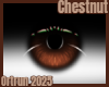 Chestnut Eyes