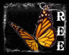 -ȵ- Butterfly Enhancer 