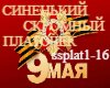 Sinenkijj  platochek