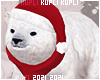 $K Baby Polar Bear