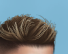 Sun Hair