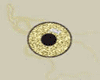 [NFA]gold eyes