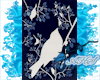 Bird Print