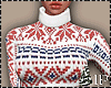 Christmas Winter Sweater