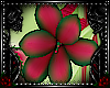 !VR! Venus Flower L