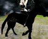 Silhouette Black Horse