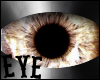 -B- Cleopatra Eyes