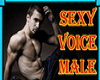 sexy male voice vb
